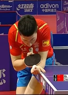 哈所认为的 哈所认为的