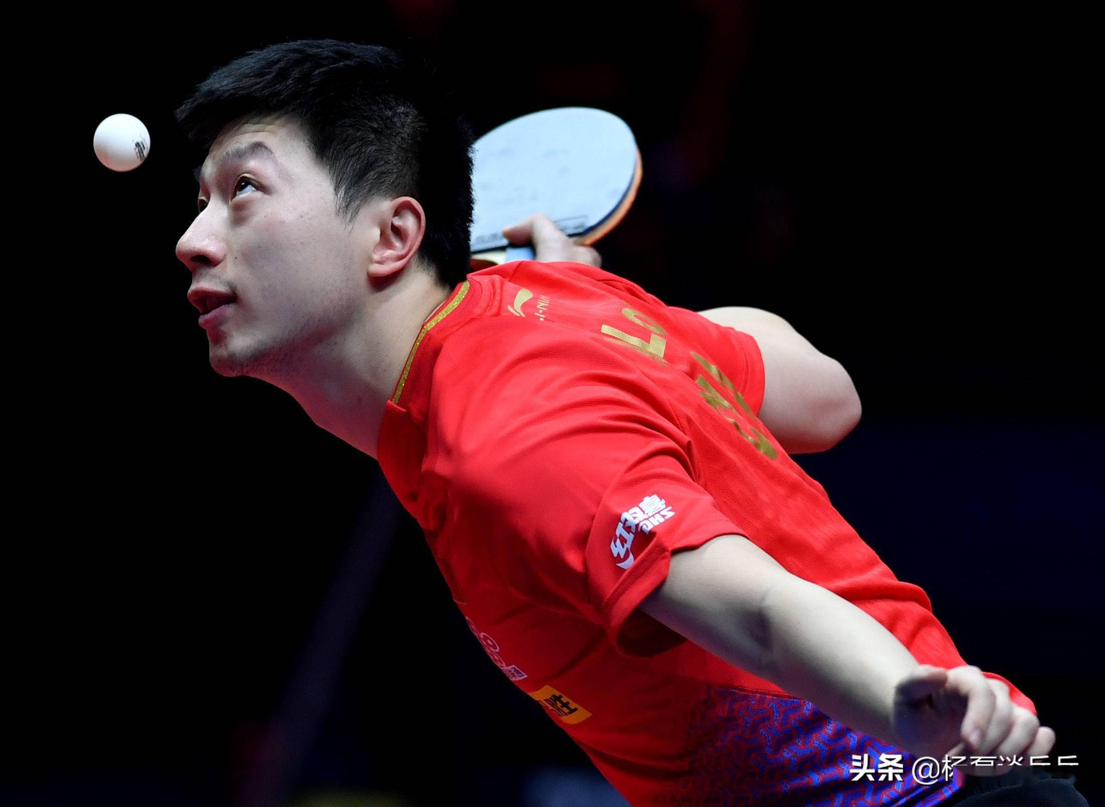 敏锐的判断 敏锐的判断