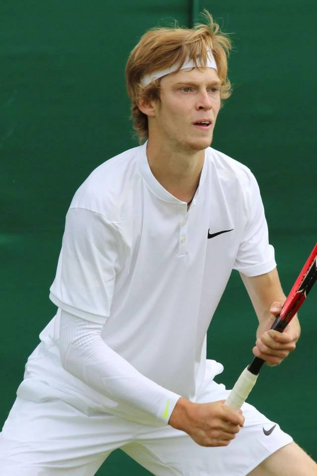 奇塔迪尼的 奇塔迪尼的